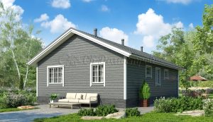 Дом «Евгеньев» 8х12 м