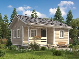 Дом «Тимуров» 6х8 м