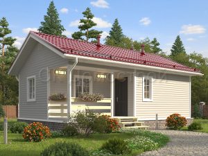 Дом «Максимов» 6х9 м