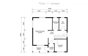 Дом «Агапов» 8х8 м